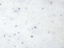 speckwhite